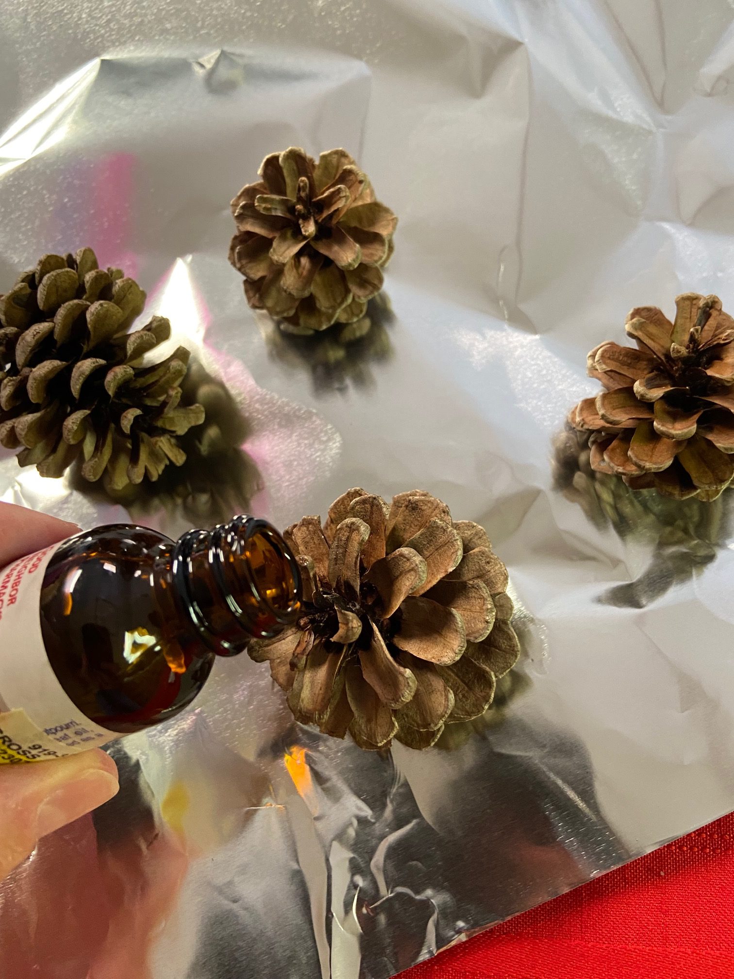 Cinnamon Scented Pine Cones The Effortless Girl DIY