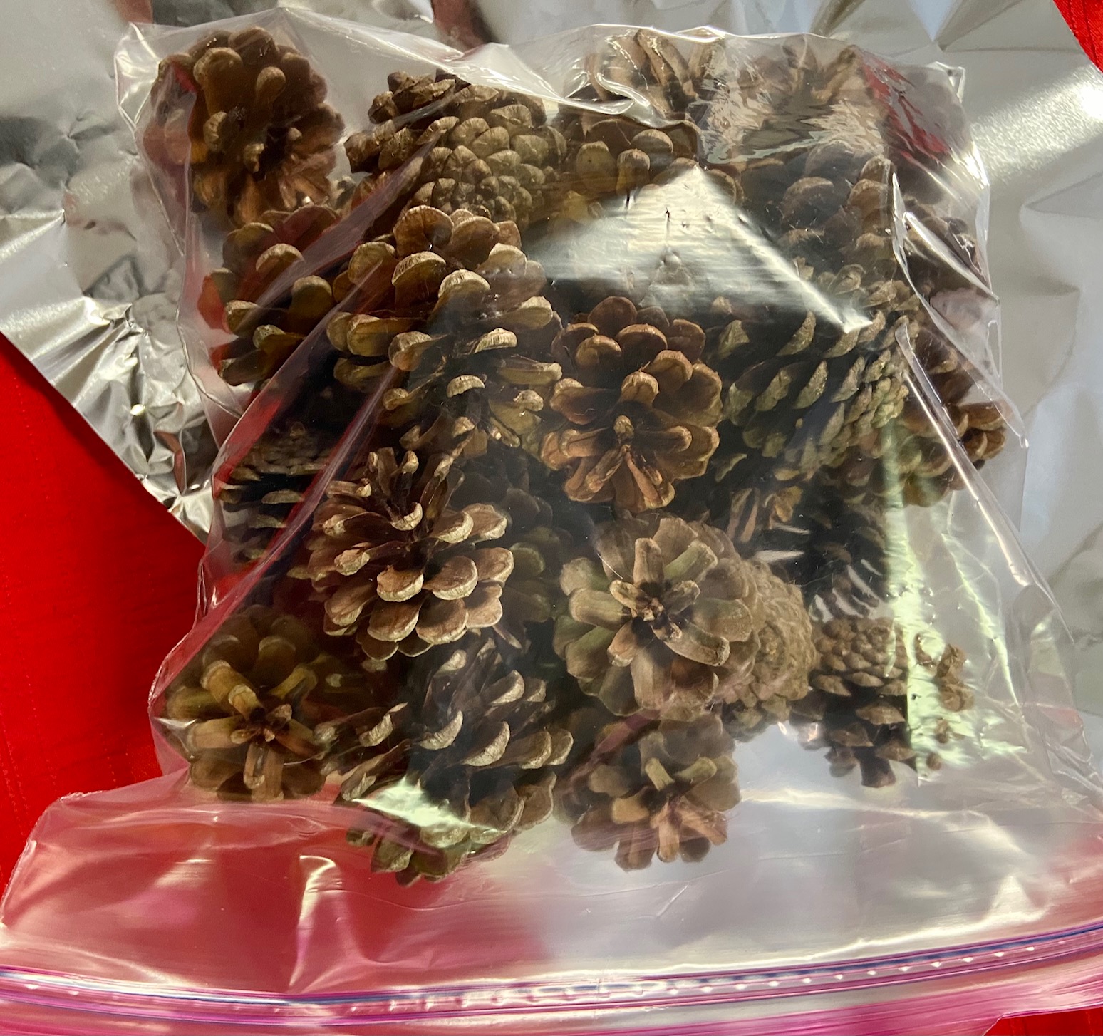 Cinnamon Scented Pine Cones The Effortless Girl DIY
